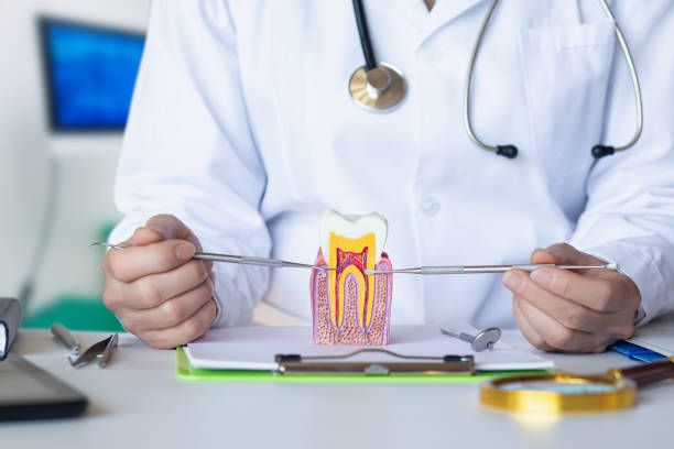 Best Broken or Chipped Tooth Repair in Alameda, CA